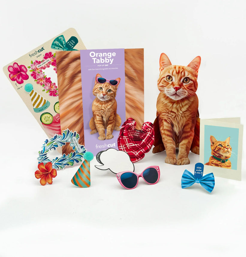 Orange Tabby Cat Pop-Up Card