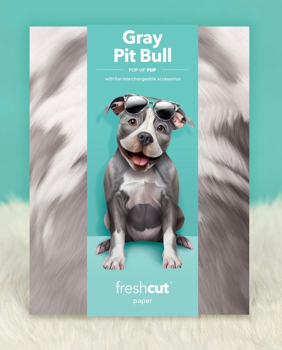 Grey Pitbull Dog Pop-Up Card