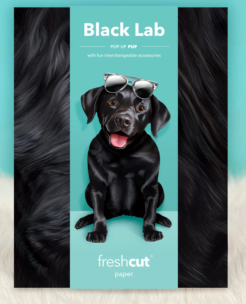 Black Lab Dog Pop-Up Card