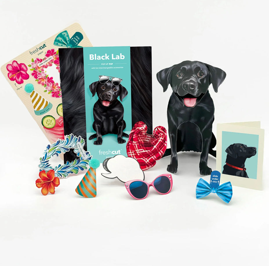 Black Lab Dog Pop-Up Card