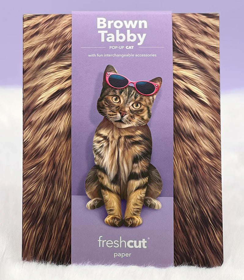 Brown Tabby Cat Pop-Up Card