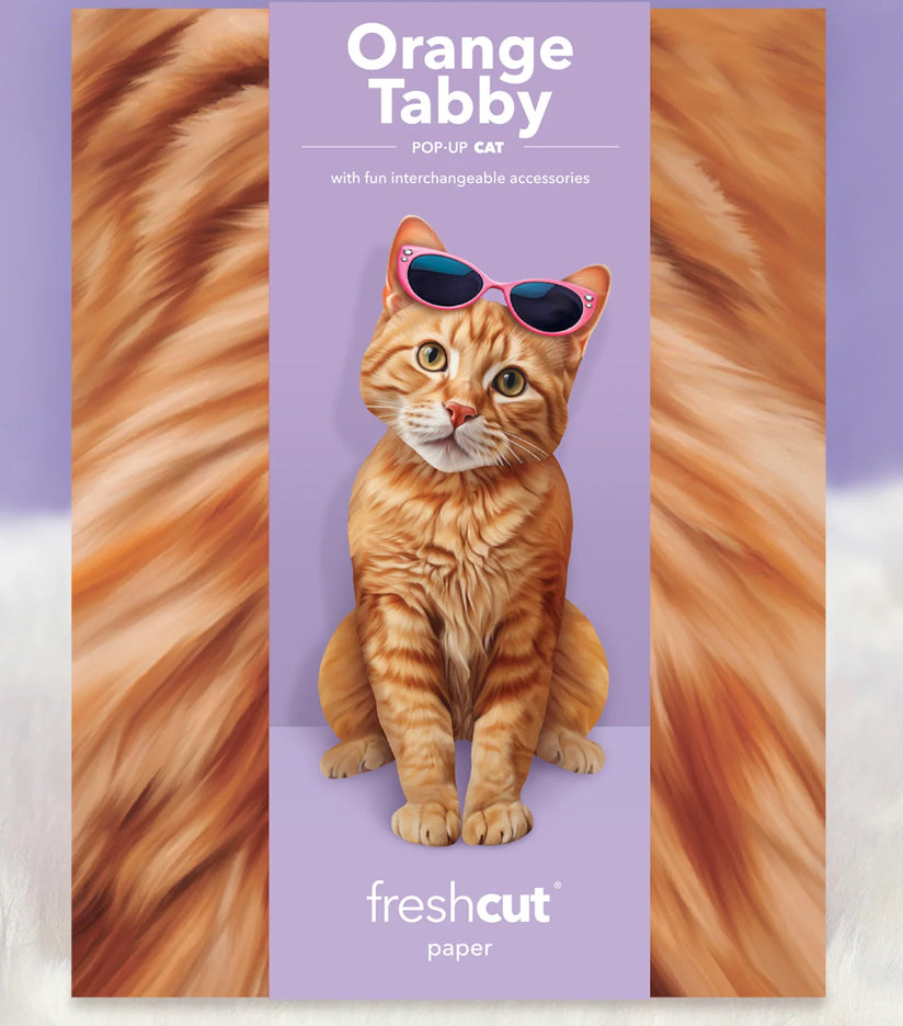 Orange Tabby Cat Pop-Up Card