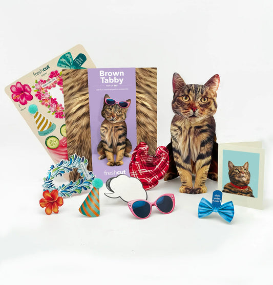 Brown Tabby Cat Pop-Up Card